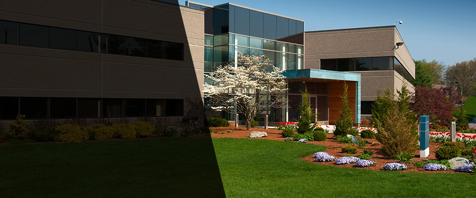 Bellevue Landscapers