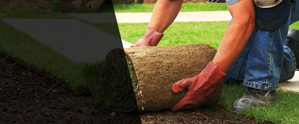 Bellevue Landscapers